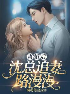 离婚后沈总追妻路漫漫 By{author}