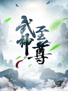 武神至尊叶风叶紫灵全文