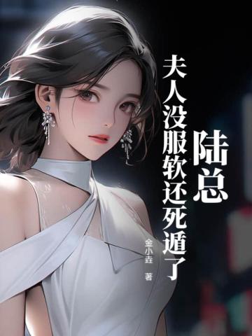 陆总夫人又闹离婚