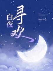 小说白夜